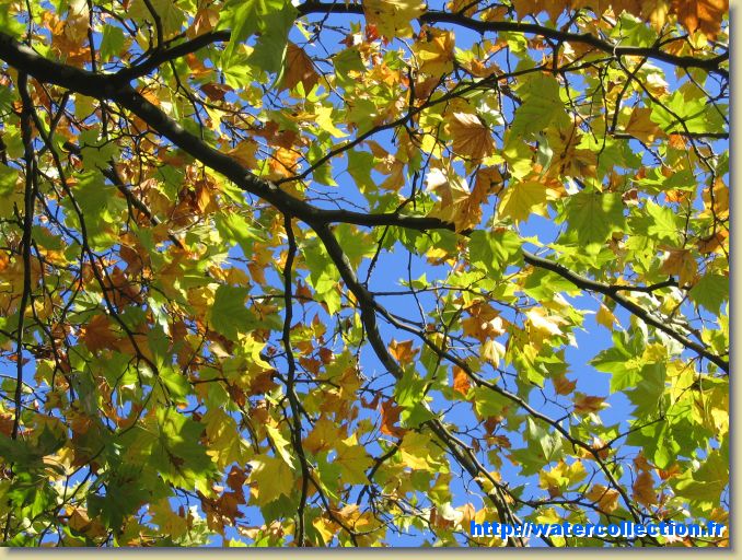 Diapositive suivante